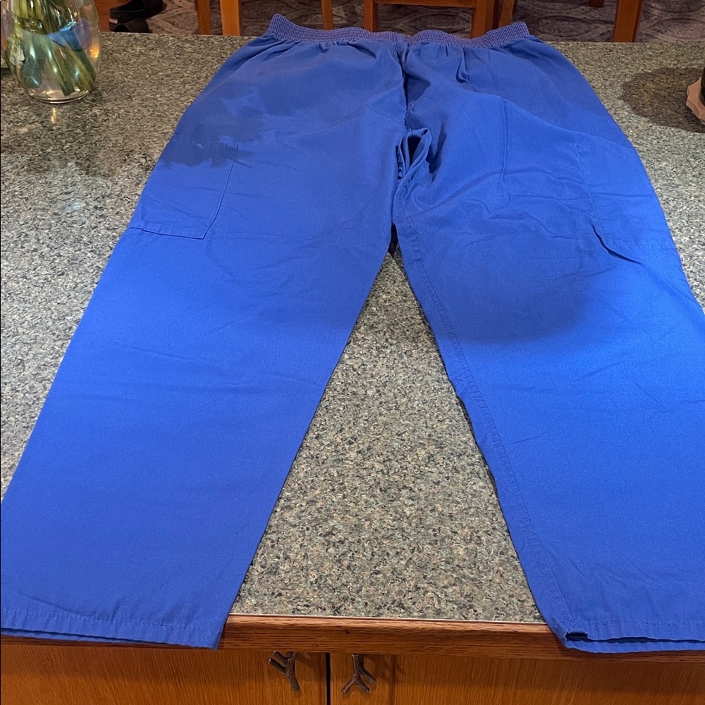 Encompass Unisex size Medium Blue Srubs Pants with in and out pockets